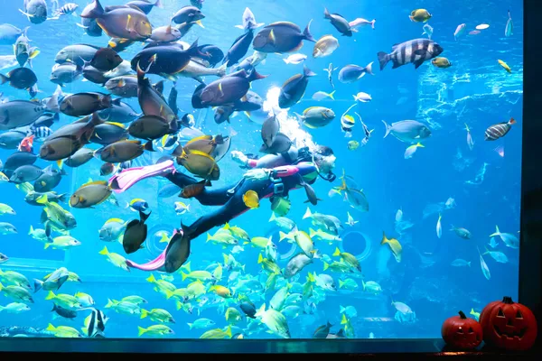 Hakone-en Aquarium