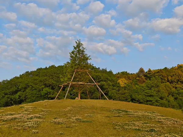 Taraibaru utsukushiimorizukuri Park