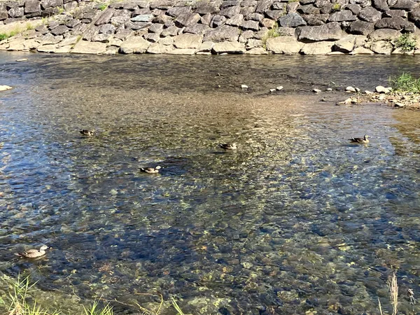 Miyagawa River
