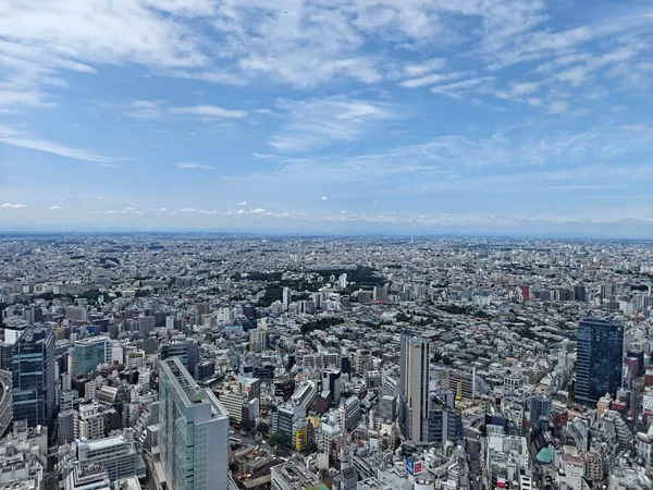 Shibuya Crossing