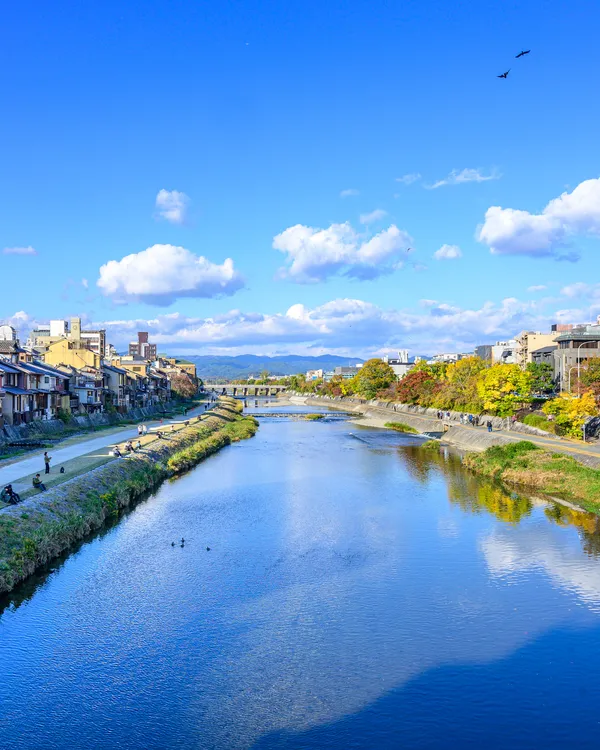 Kamo River