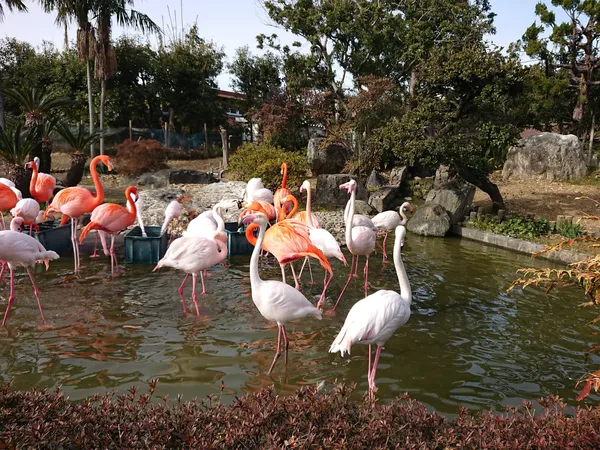 Wanpark Kochi