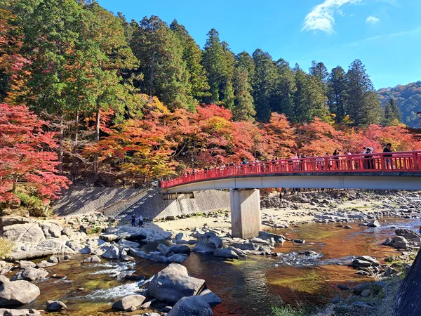 Koran Bridge