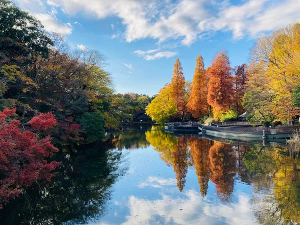 Inokashira Park