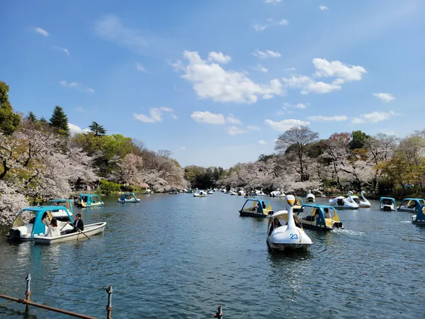 Inokashira Park