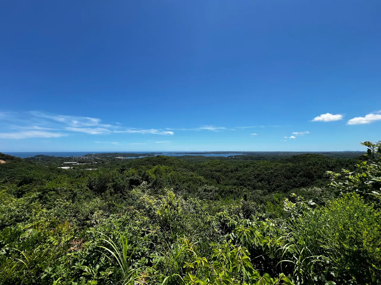 Omoshiro Observation Deck