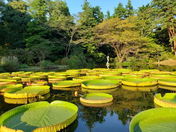 Jindai Botanical Gardens