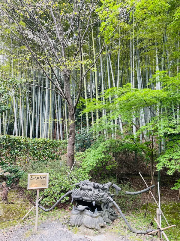 Kōdai-ji Temple Bamboo Forest