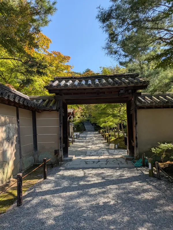Kōdai-ji Temple Bamboo Forest