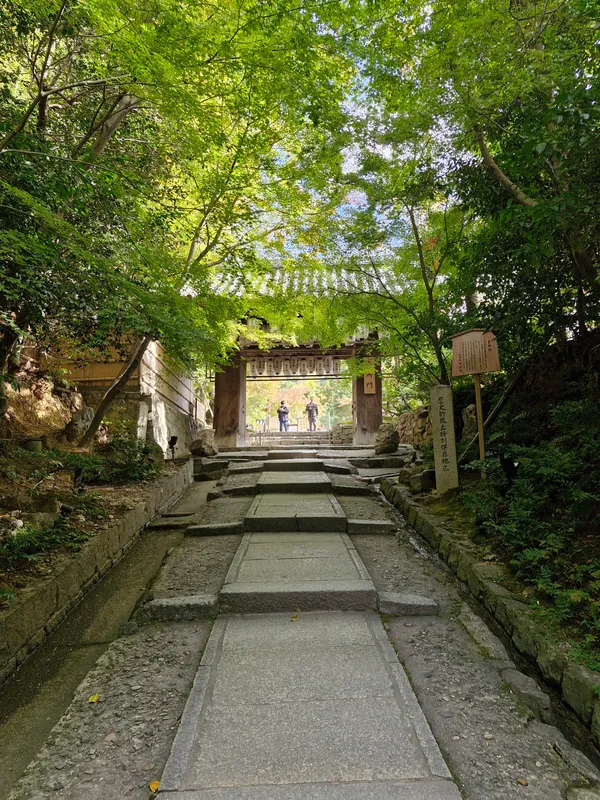 Kōdai-ji Temple Bamboo Forest