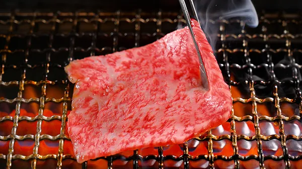 Kobe beef 512