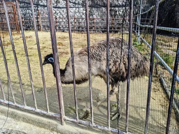 Kuragaike Park Zoo