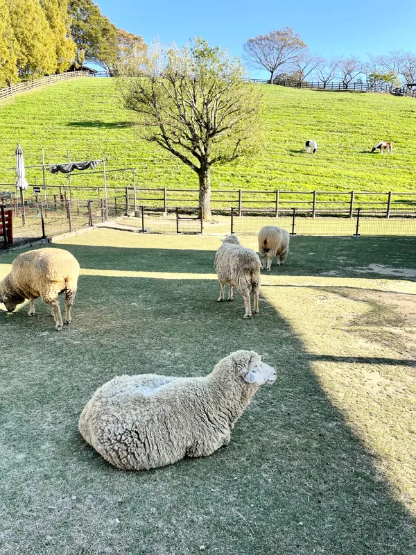 Kuragaike Park Zoo