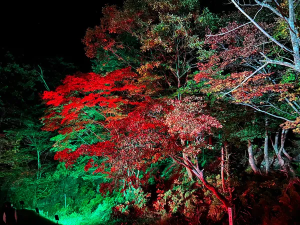 Sounkyo onsen "Momijidani Valley"