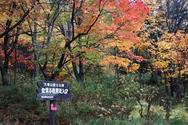 Sounkyo onsen "Momijidani Valley"