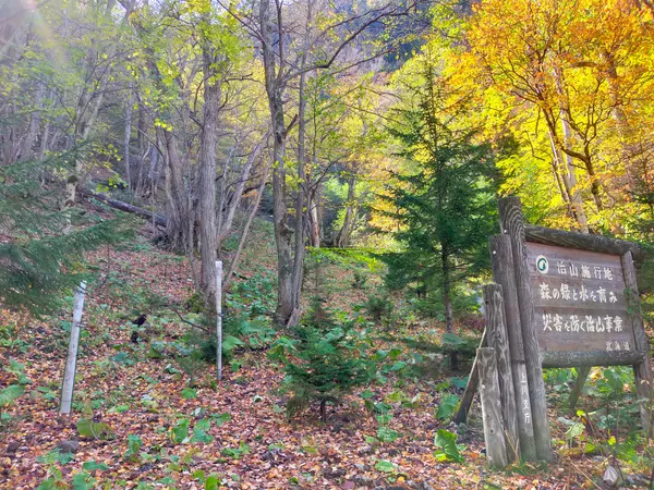 Sounkyo onsen "Momijidani Valley"