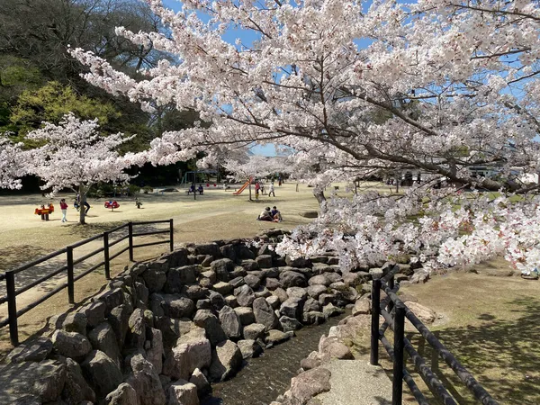 Kizan Park
