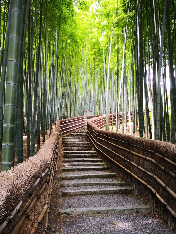 Adashino Nenbutsuji Temple