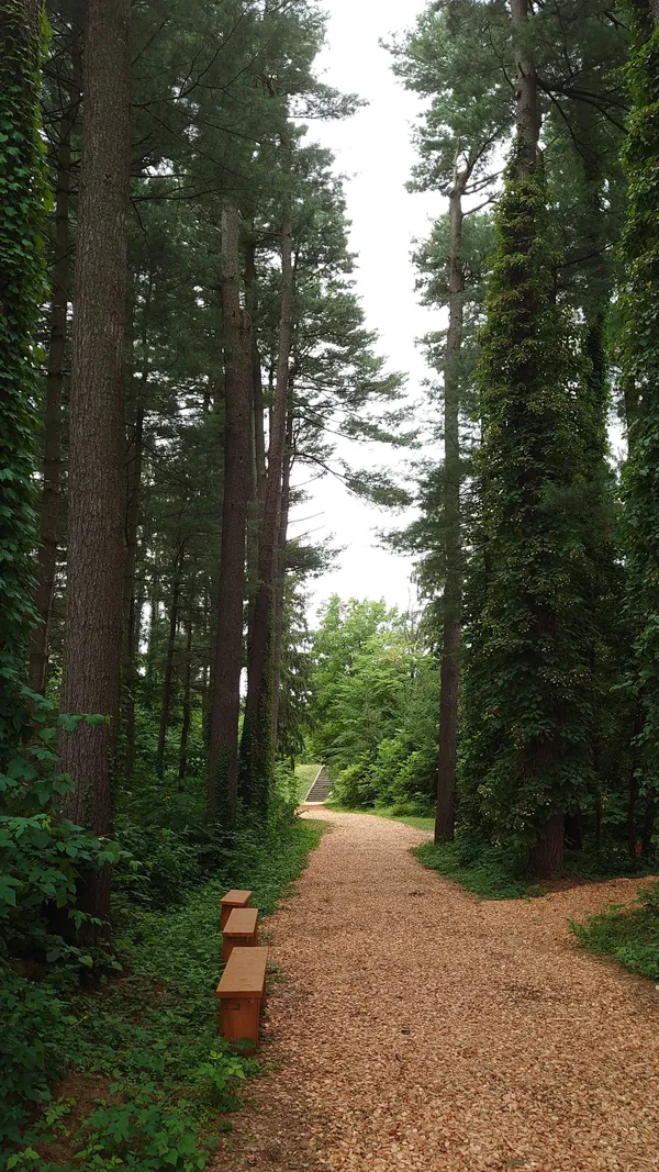 Asahikawa City Foreign Tree Species Sample Forest