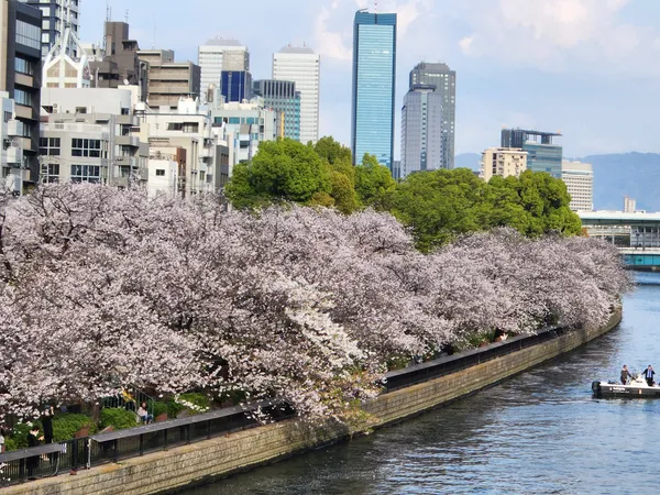 Nakanoshima Park