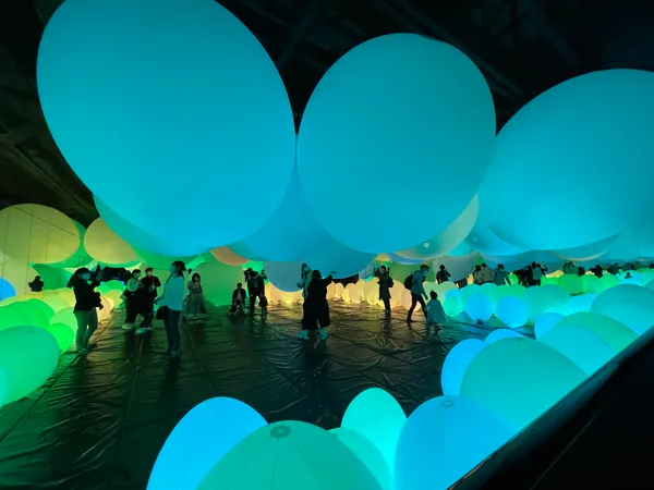 teamLab Borderless: MORI Building DIGITAL ART MUSEUM