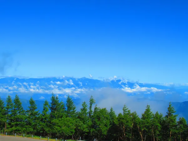 Fuji Subaru Line 5th Station
