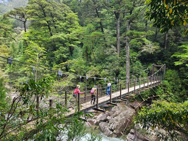 Yakusugi Land