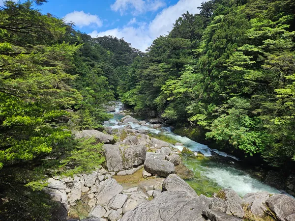 Yakusugi Land