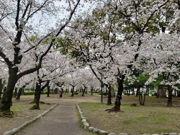 Tsuruma Park