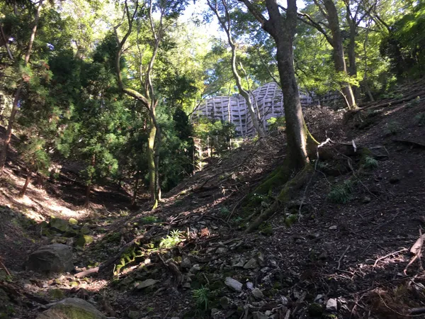 Daimonji Fire Bed