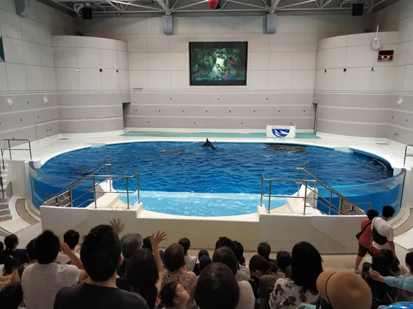 Kagoshima City Aquarium