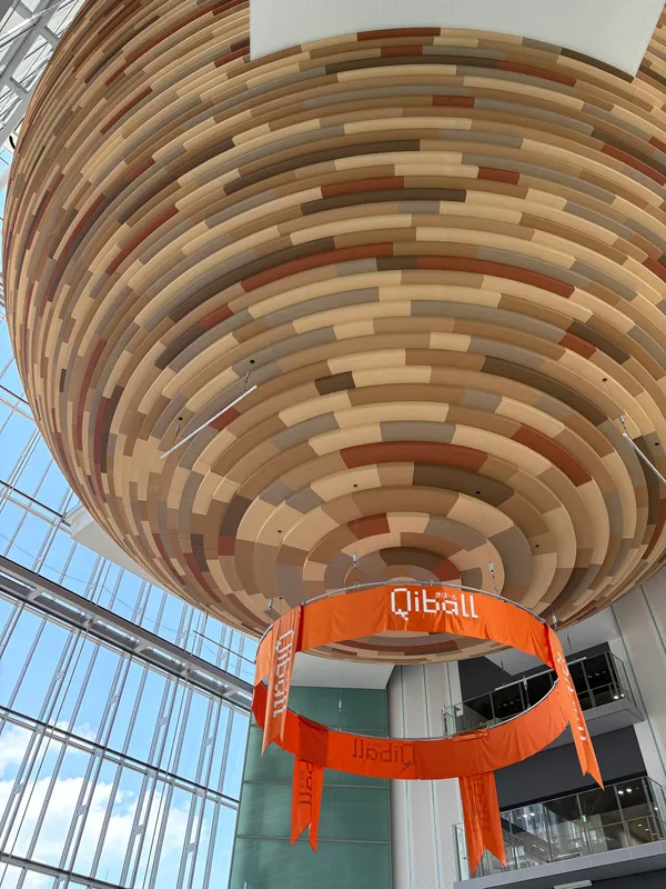qiball