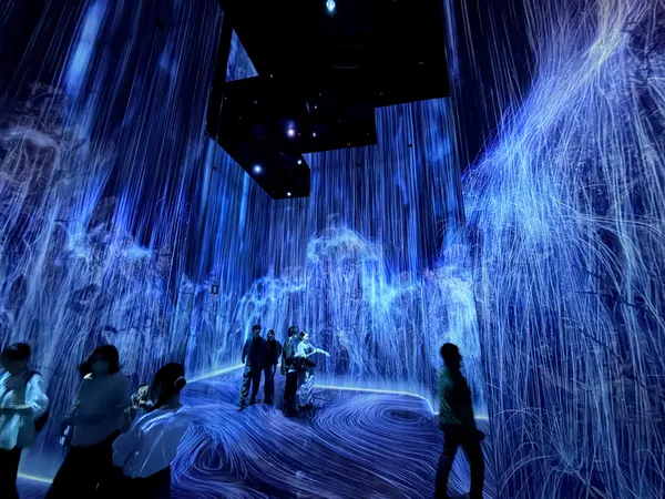 teamLab Biovortex Kyoto