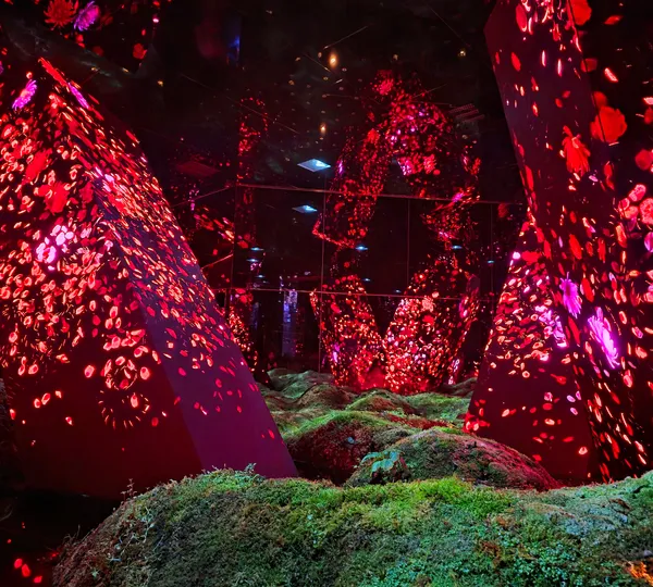 teamLab Biovortex Kyoto