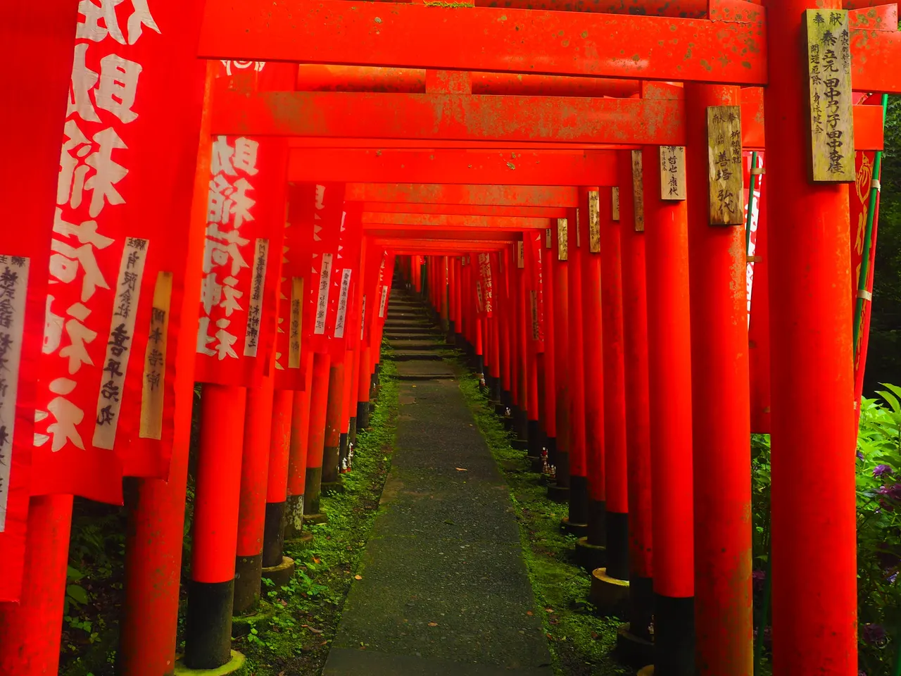 Sasuke Inari Shrine