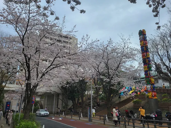 Roppongi Sakura-zaka