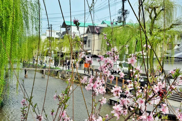 Shirakawa River