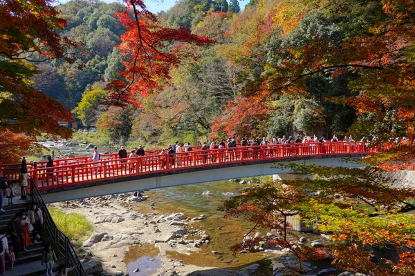 Taigetsu Bridge