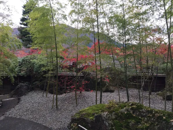 Hakone Museum of Photography