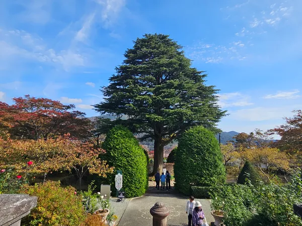 Hakone Gora Park