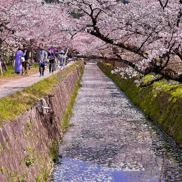 Philosopher's Path (Tetsugaku no Michi)