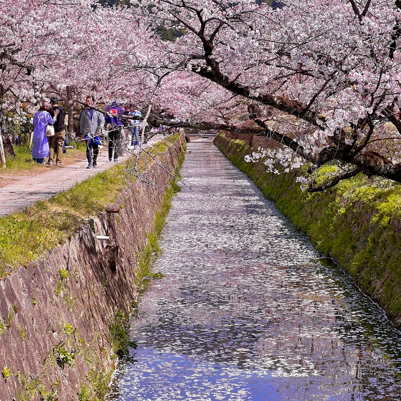Philosopher's Path (Tetsugaku no Michi)