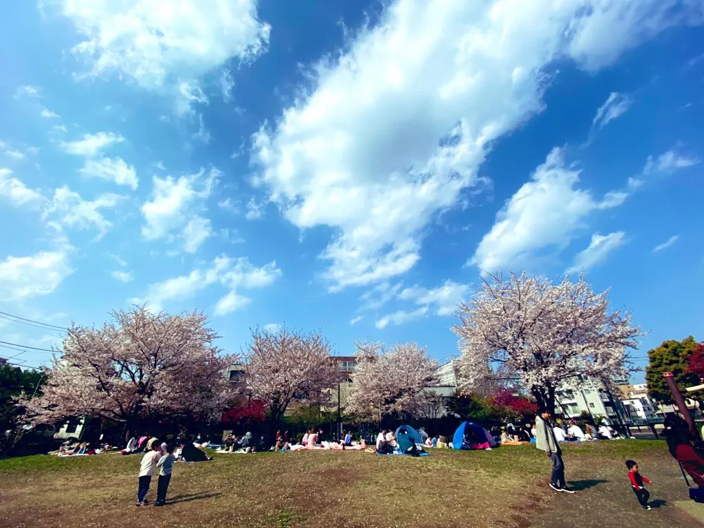 Shinjuku City Tomihisa Sakura Park