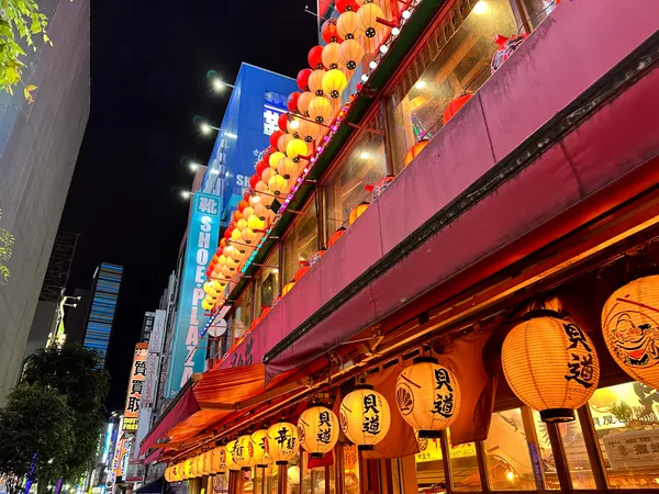Kabukicho Main Gate