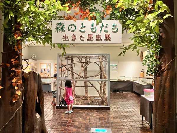 Mori-no-Fureaikan Hall (Hakone Woodland Museum)