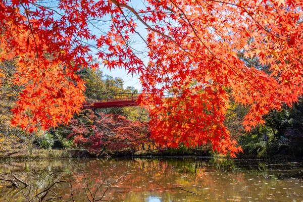 Izumi Nature City Park