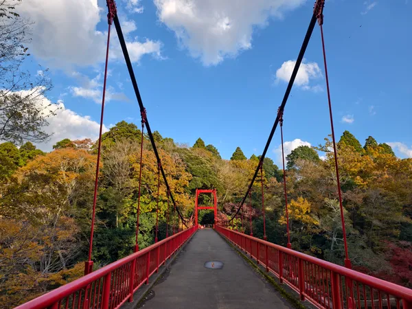 Izumi Nature City Park