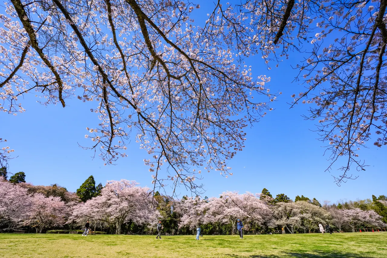 Izumi Nature City Park