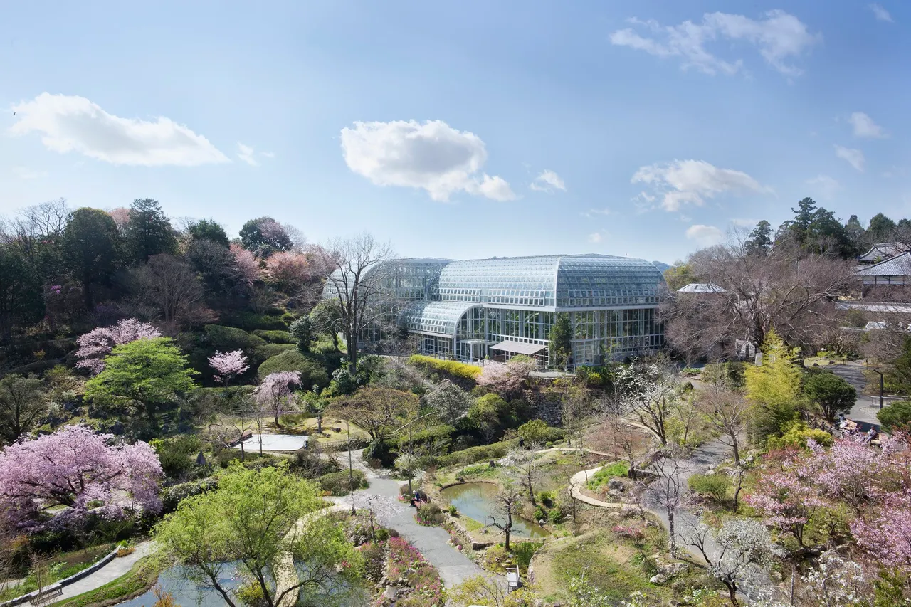 The Kochi Prefectural Makino Botanical Garden