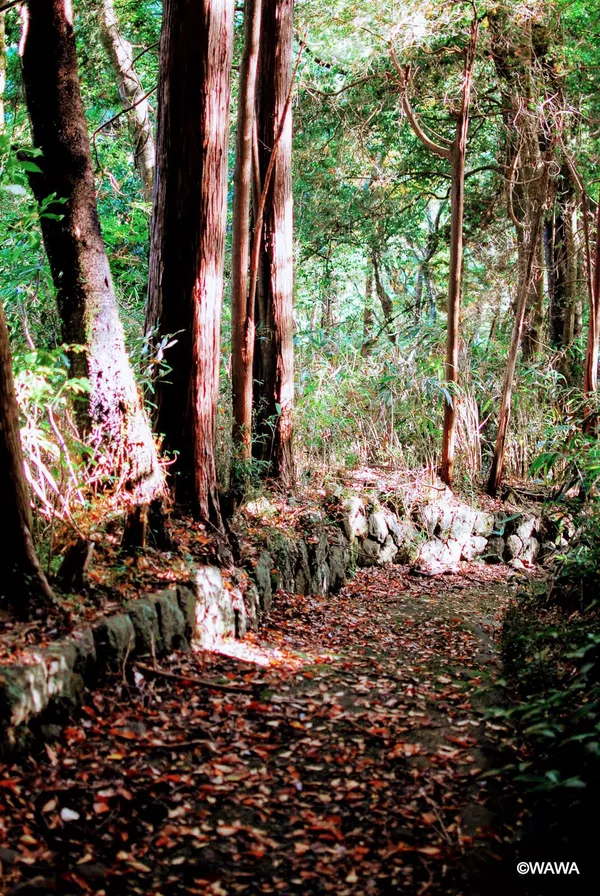 人馬道の道標